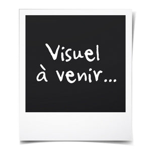 V6HDCC3F7F874D9EE79B7D5D28737E49169R5101449P3